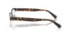 Picture of Polo Eyeglasses PH1246D