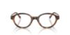 Picture of Polo Eyeglasses PH2305F