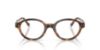 Picture of Polo Eyeglasses PH2305U