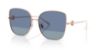 Picture of Tory Burch Sunglasses TY6106D