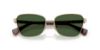 Picture of Ralph Sunglasses RA4149