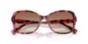 Picture of Ralph Sunglasses RA5351U