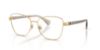 Picture of Ralph Eyeglasses RA6064