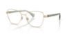 Picture of Ralph Eyeglasses RA6064