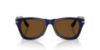 Picture of Persol Sunglasses PO8001S