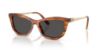 Picture of Swarovski Sunglasses SK6057F