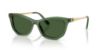 Picture of Swarovski Sunglasses SK6057