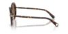 Picture of Swarovski Sunglasses SK6059F
