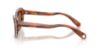 Picture of Swarovski Sunglasses SK6061U