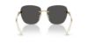 Picture of Swarovski Sunglasses SK7043