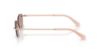 Picture of Swarovski Sunglasses SK7045D