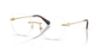Picture of Swarovski Eyeglasses SK1038