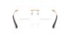 Picture of Swarovski Eyeglasses SK1038