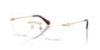 Picture of Swarovski Eyeglasses SK1038