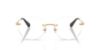 Picture of Swarovski Eyeglasses SK1038