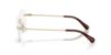 Picture of Swarovski Eyeglasses SK1038