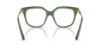 Picture of Swarovski Eyeglasses SK2059