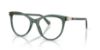 Picture of Swarovski Eyeglasses SK2064