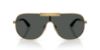 Picture of Versace Sunglasses VE2293