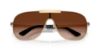 Picture of Versace Sunglasses VE2293