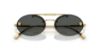 Picture of Versace Sunglasses VE2295