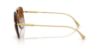 Picture of Versace Sunglasses VE2296