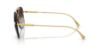 Picture of Versace Sunglasses VE2296