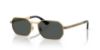 Picture of Versace Sunglasses VE2297
