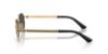 Picture of Versace Sunglasses VE2297