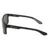 Picture of Dragon Sunglasses DR TIERRA LL