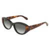 Picture of Salvatore Ferragamo Sunglasses SF2104S