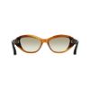 Picture of Salvatore Ferragamo Sunglasses SF2104S