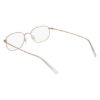 Picture of Flexon Eyeglasses H6099