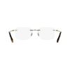 Picture of Lacoste Eyeglasses L2324