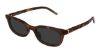 Picture of Saint Laurent Sunglasses SL M160