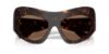 Picture of Dolce & Gabbana Sunglasses DG4552