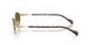 Picture of Emporio Armani Sunglasses EA2175