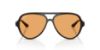 Picture of Ray Ban Sunglasses RB4125