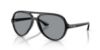 Picture of Ray Ban Sunglasses RB4125