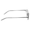 Picture of Flexon Eyeglasses FLX811PMAG-SET