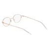 Picture of Flexon Eyeglasses FLX811PMAG-SET