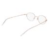 Picture of Flexon Eyeglasses FLX811PMAG-SET