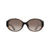 Picture of Salvatore Ferragamo Sunglasses SF2091SELB