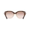 Picture of Salvatore Ferragamo Sunglasses SF2116SLB