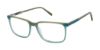 Picture of Aeropostale Eyeglasses AERO1018