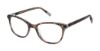 Picture of Alexander Collection Eyeglasses MINDI