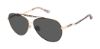 Picture of Jimmy Crystal New York Sunglasses JCS575
