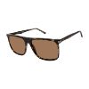 Picture of Isaac Mizrahi Ny Sunglasses 36200