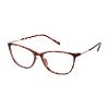 Picture of Aristar Eyeglasses 30840
