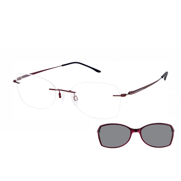 Picture of Charmant Eyeglasses 16733